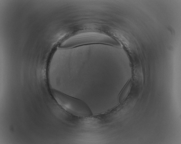 X0000116420399200912291853