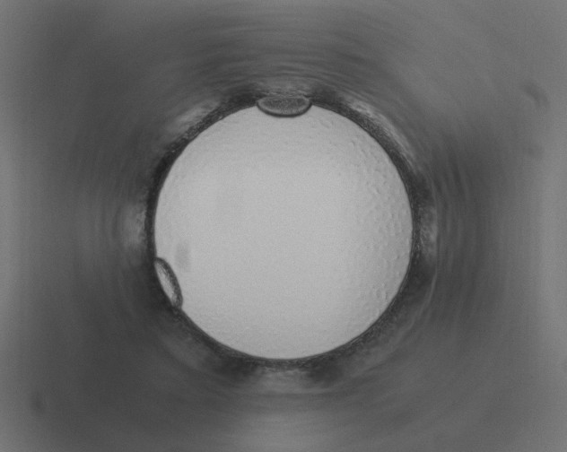 X0000116420403200912291853