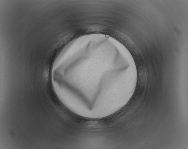 X0000116420406200912291853