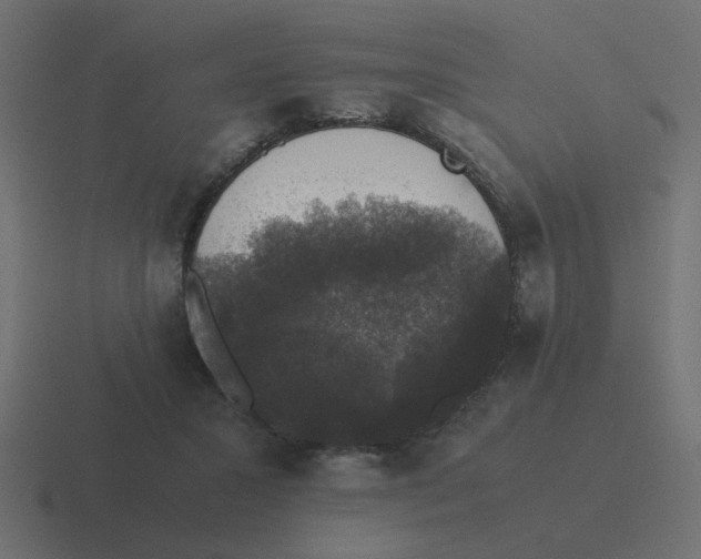 X0000116420407200912291853