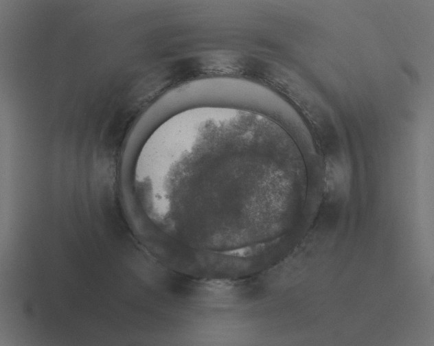 X0000116420409200912291853