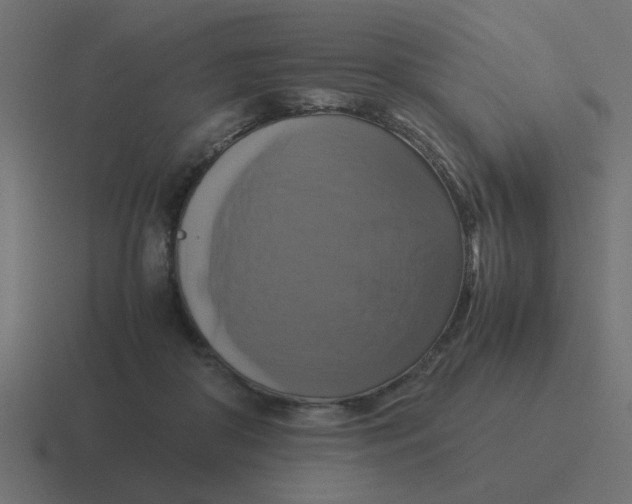 X0000116420410200912291853
