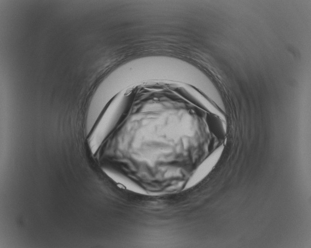 X0000116420411200912291852