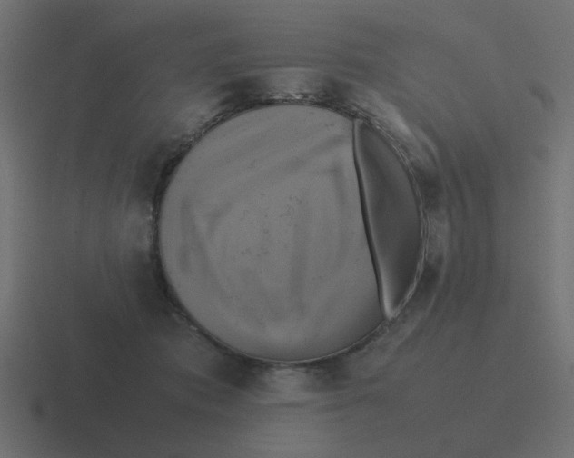 X0000116420413200912291852