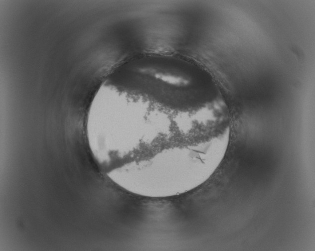 X0000116420415200912291852