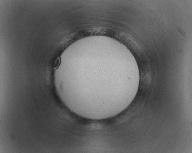 X0000116420416200912291852