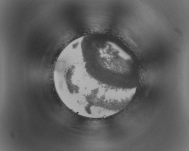 X0000116420419200912291852