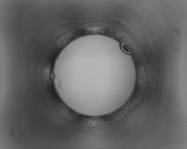 X0000116420420200912291852