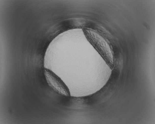 X0000116420421200912291852