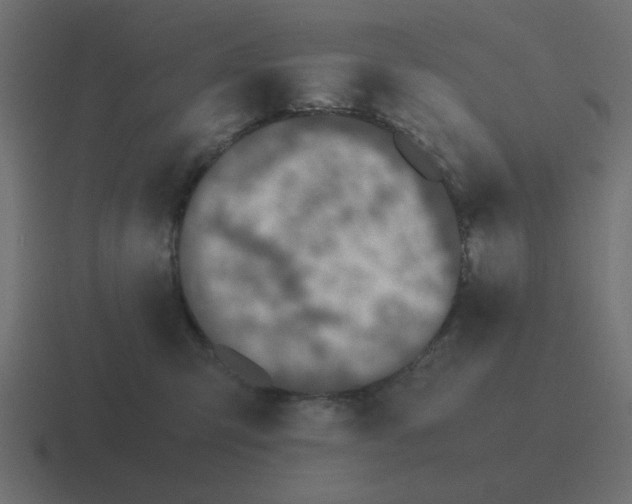 X0000116420423200912291852
