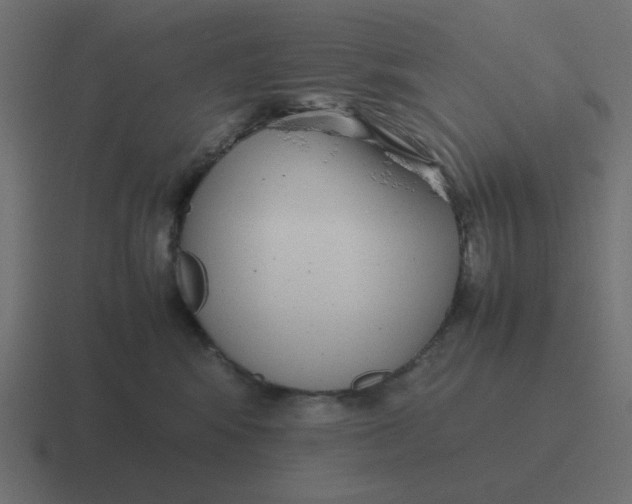 X0000116420424200912291852