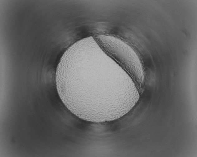 X0000116420425200912291852