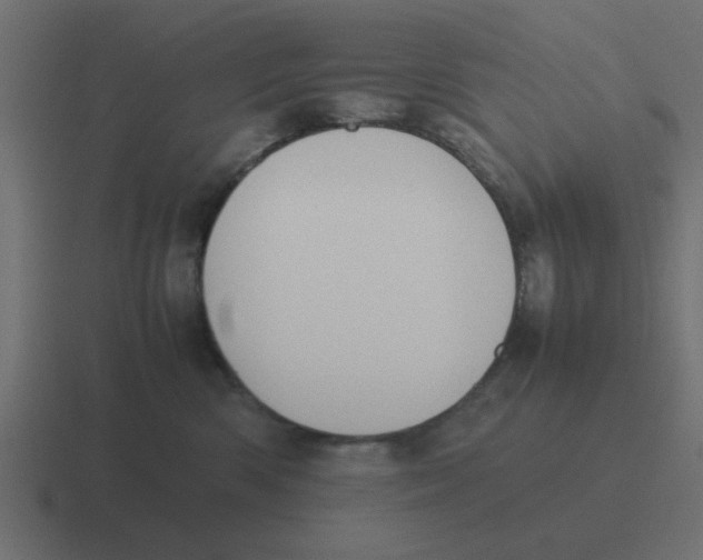 X0000116420426200912291852