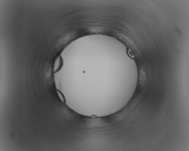 X0000116420428200912291852