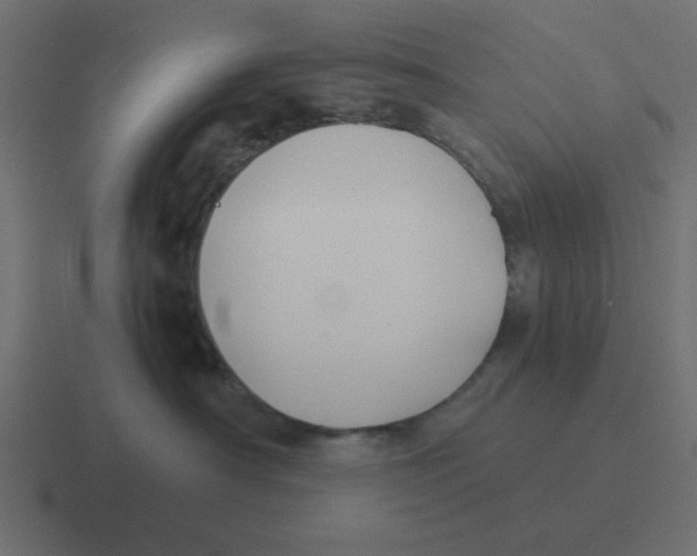 X0000116420430200912291852