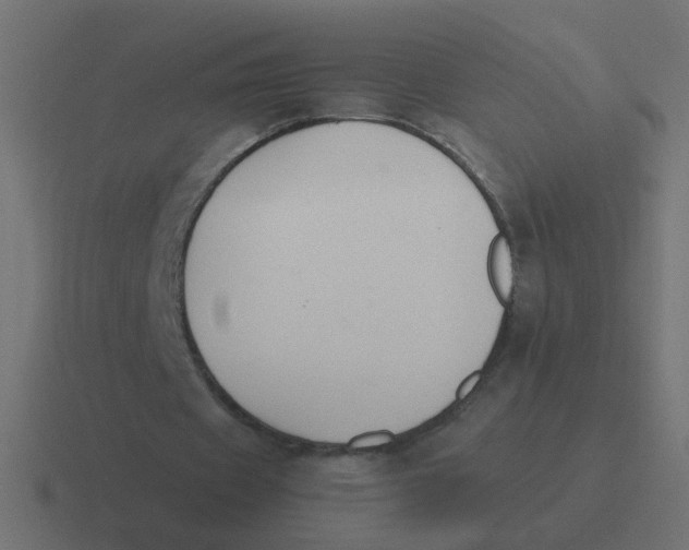 X0000116420433200912291852