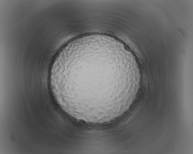 X0000116420434200912291852