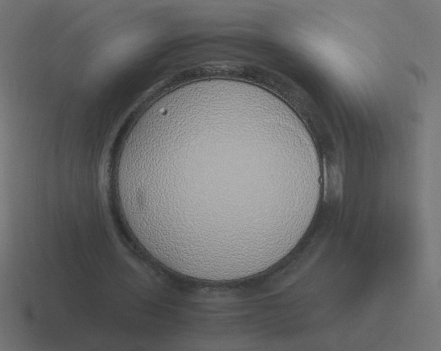 X0000116420435200912291852