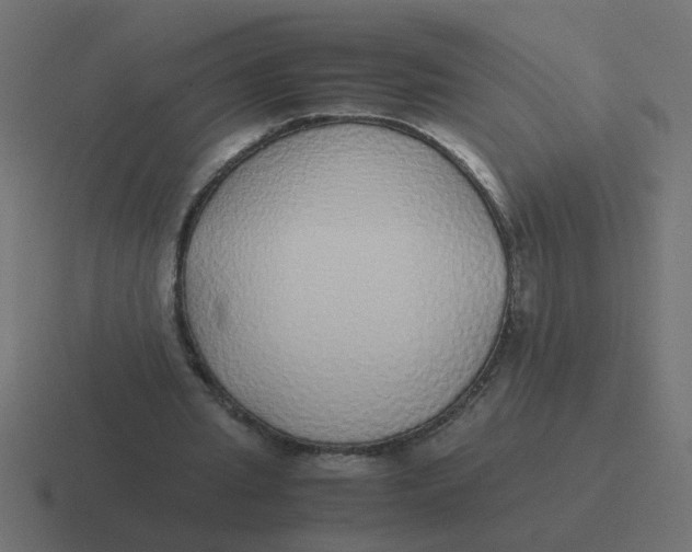 X0000116420437200912291852