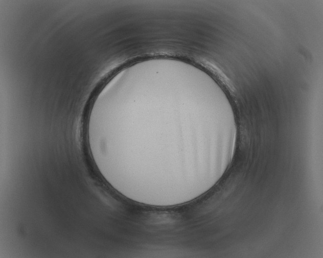 X0000116420439200912291852