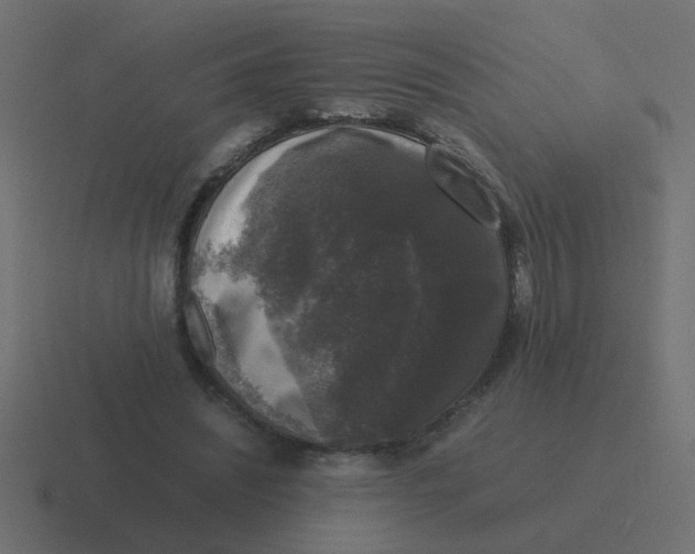 X0000116420444200912291852