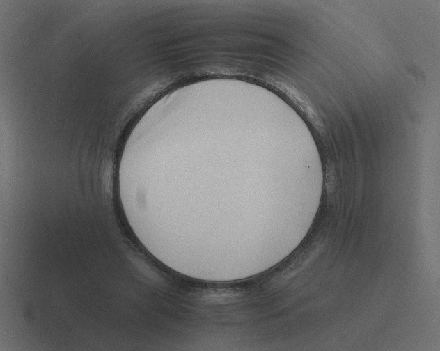 X0000116420445200912291852