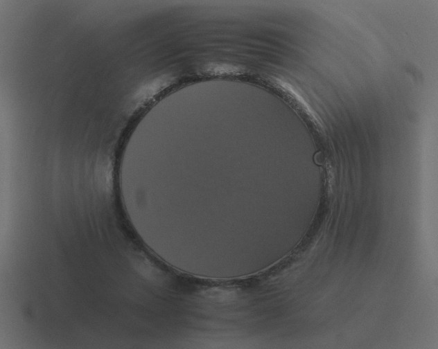 X0000116420447200912291852