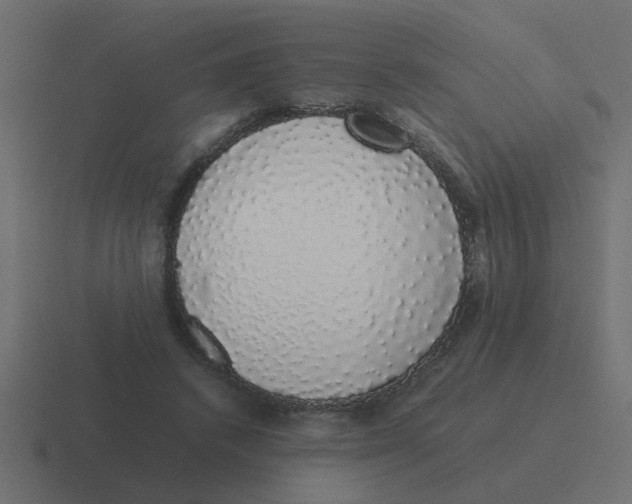 X0000116420448200912291852