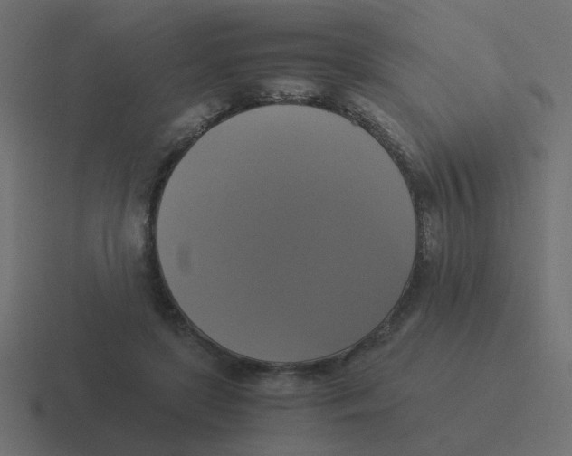 X0000116420451200912291852