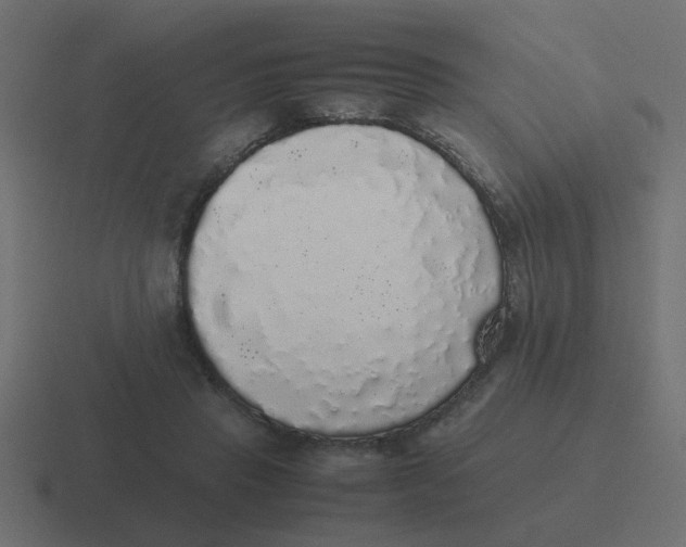 X0000116420453200912291852