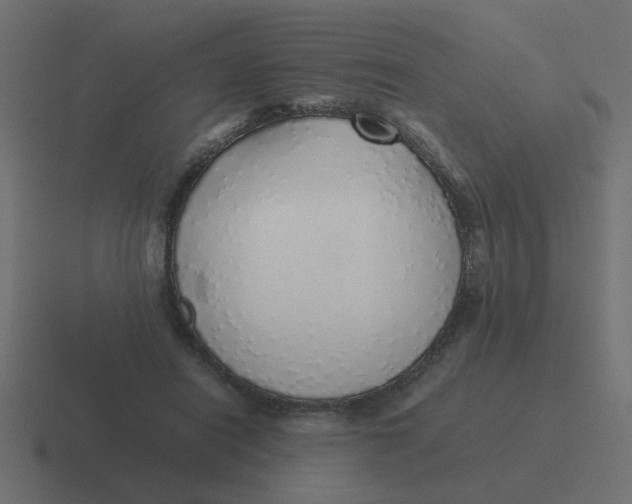 X0000116420454200912291852