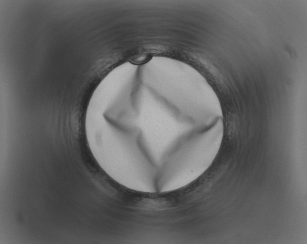 X0000116420455200912291852
