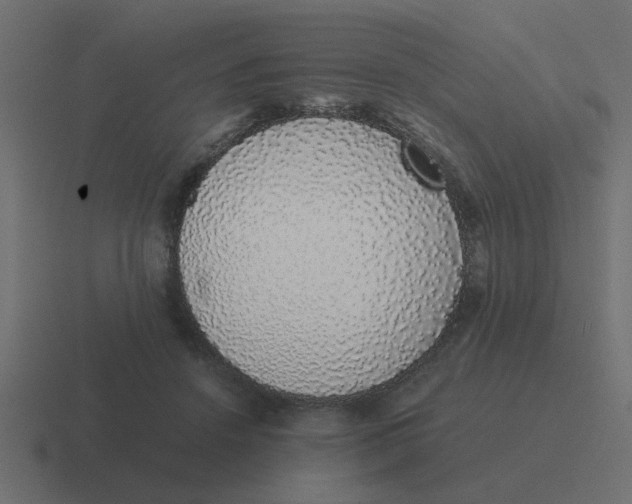 X0000116420456200912291852