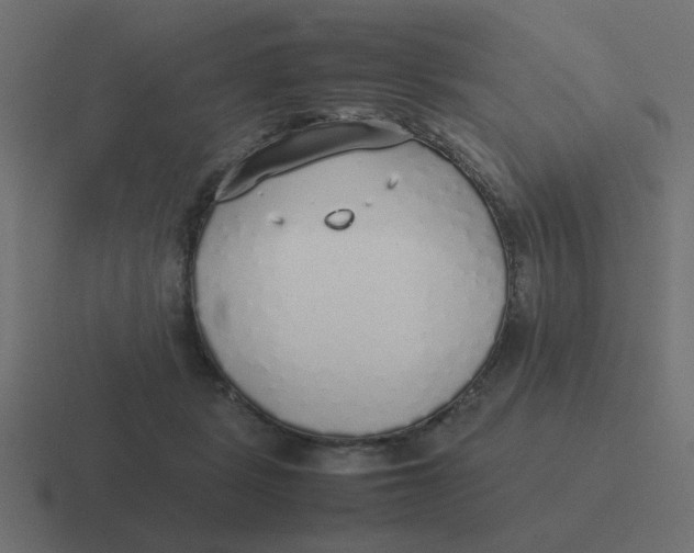 X0000116420461200912291852