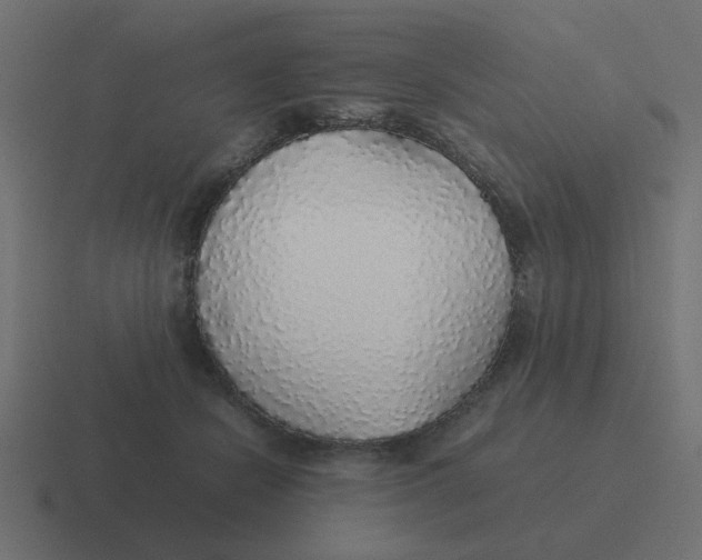 X0000116420462200912291852