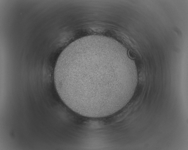 X0000116420464200912291852
