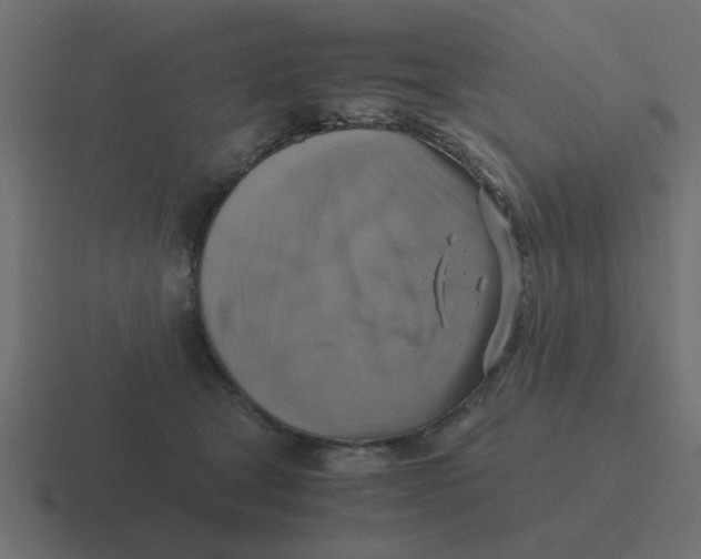 X0000116420465200912291852
