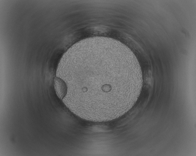 X0000116420468200912291852