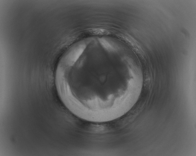 X0000116420469200912291852