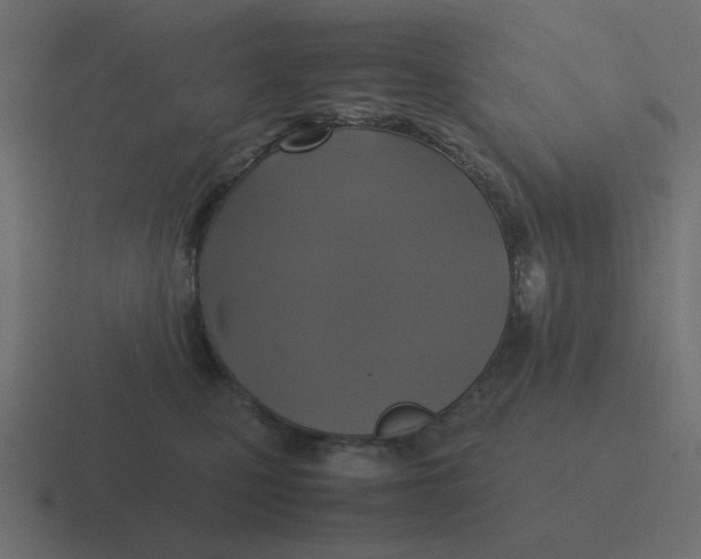 X0000116420471200912291852