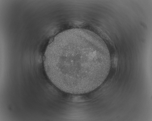 X0000116420472200912291852