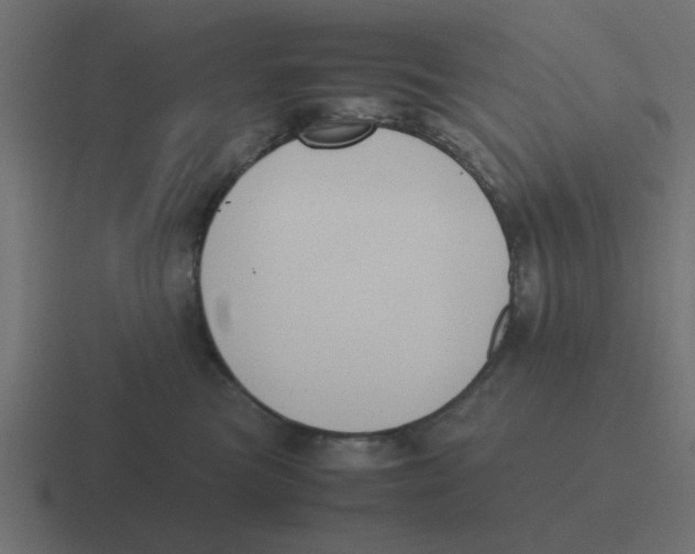 X0000116420473200912291852