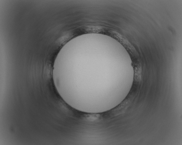X0000116420474200912291852