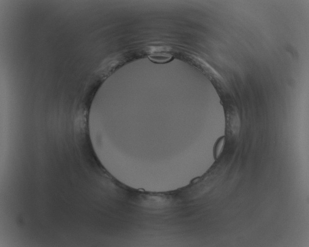 X0000116420475200912291852