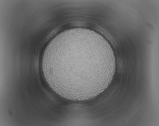 X0000116420482200912291852