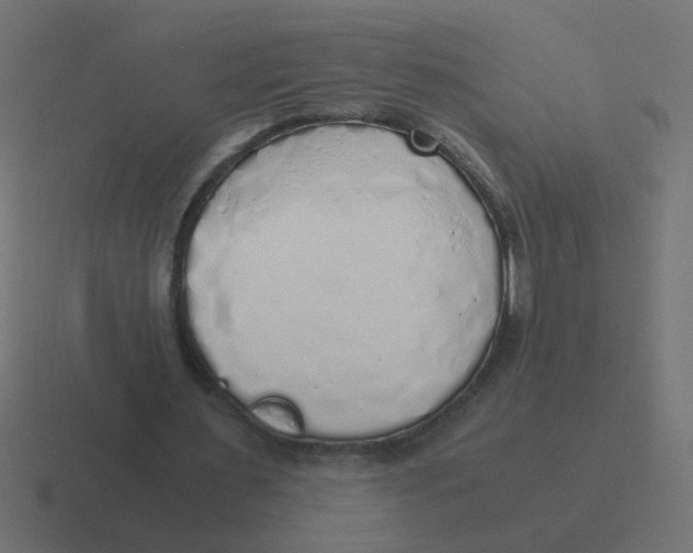 X0000116420483200912291852