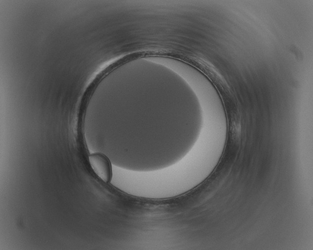 X0000116420484200912291852