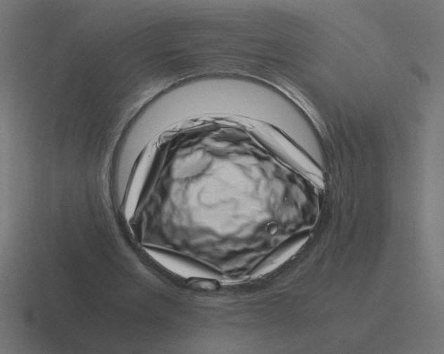 X0000116420485200912291852