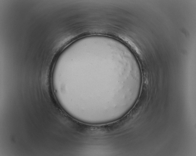 X0000116420487200912291852