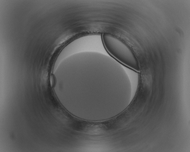 X0000116420488200912291852